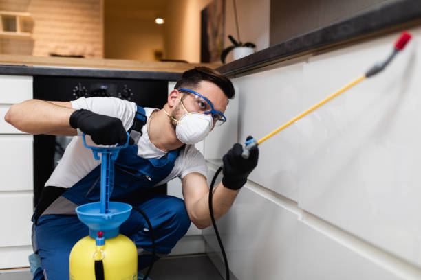 Best Bed Bug Extermination  in Lakeview, MI