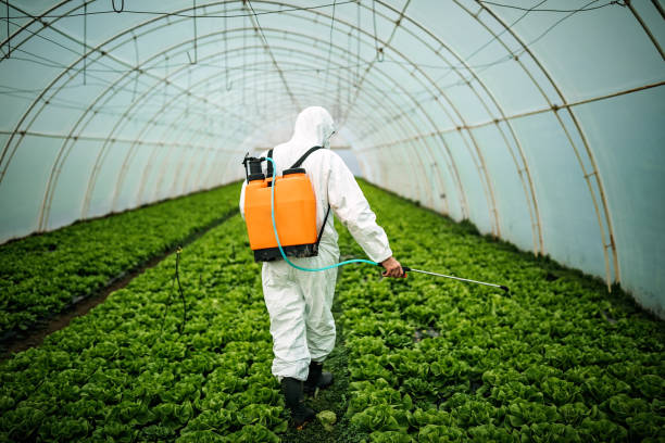 Best Pest Removal Services  in Lakeview, MI