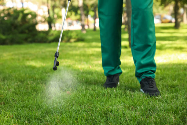 Best Local Pest Control Services  in Lakeview, MI