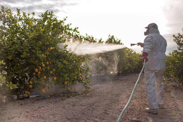 Best Cockroach Control Services  in Lakeview, MI