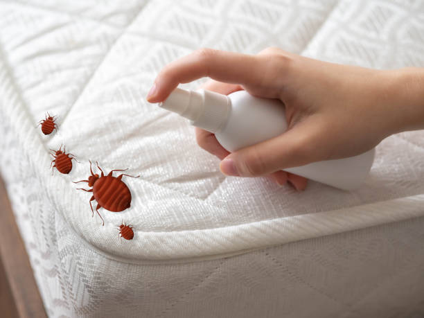 Best Pest Control for Businesses  in Lakeview, MI