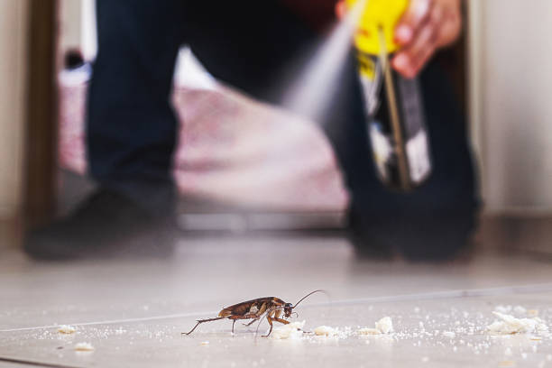 Best Commercial Pest Control Services  in Lakeview, MI