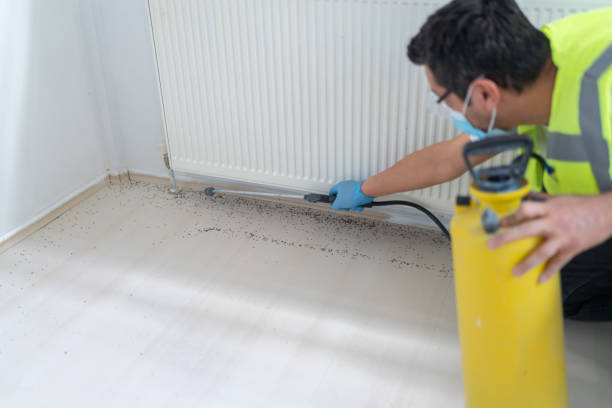 Best Local Pest Control Services  in Lakeview, MI