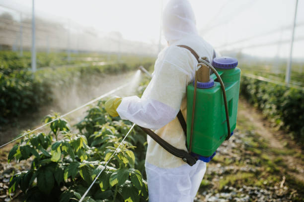 Best Affordable Pest Control Services  in Lakeview, MI